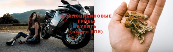 тгк Балахна
