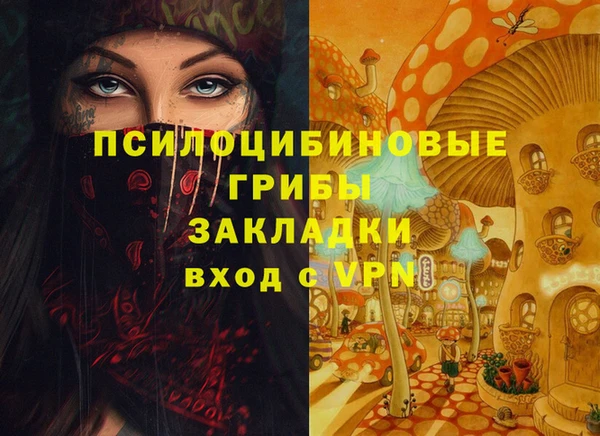 тгк Балахна