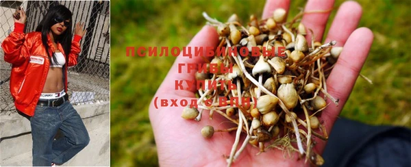 тгк Балахна
