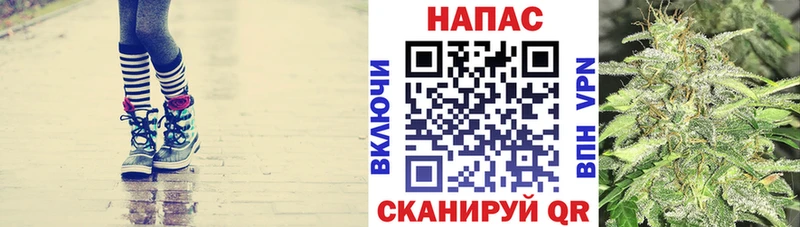 Канабис OG Kush  Лесосибирск 